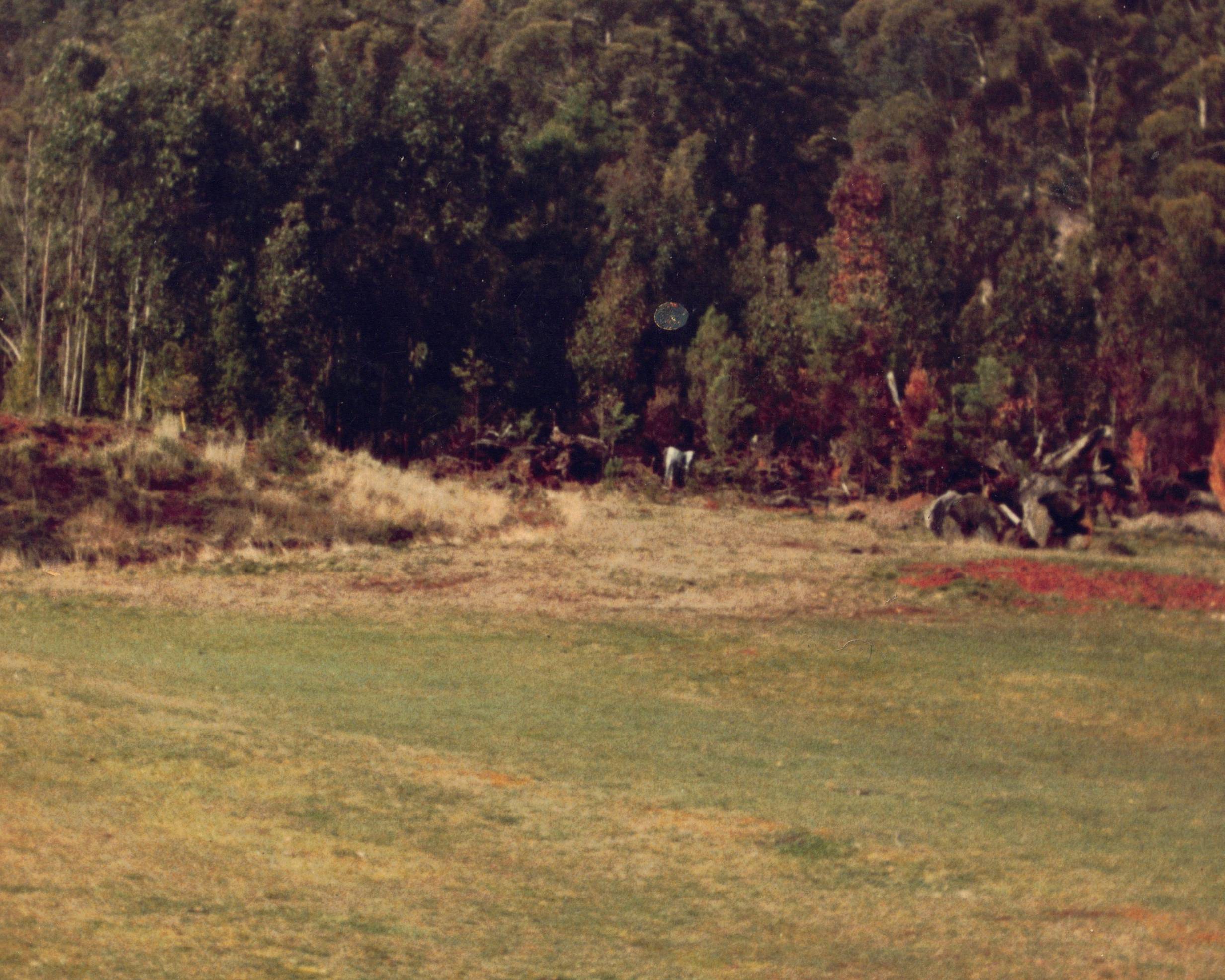 Course Construction tbc(1) Ninth