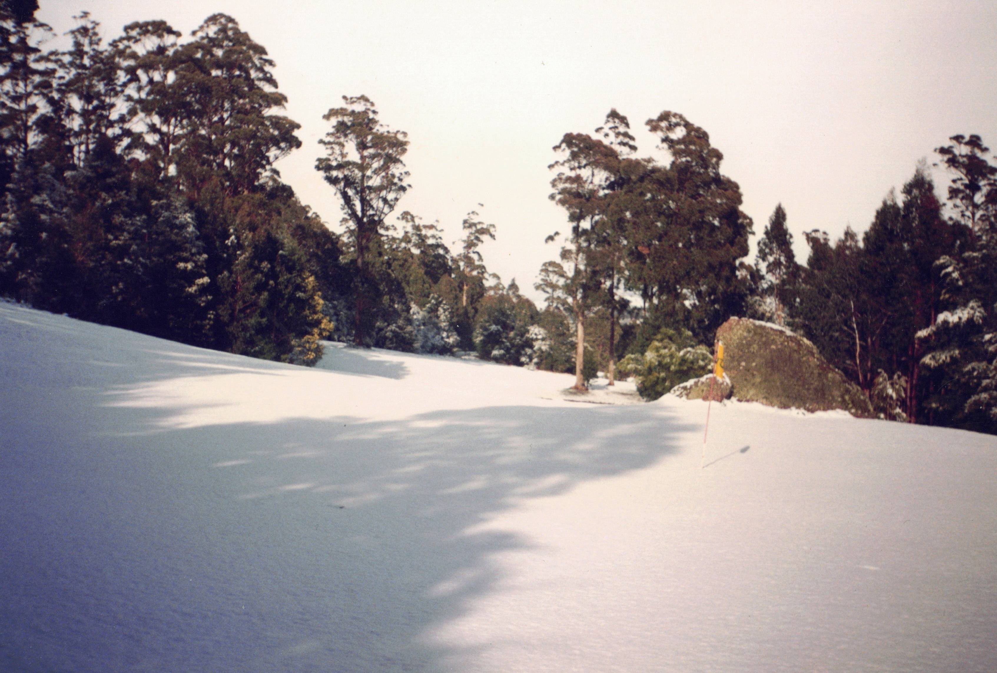 Fifth Green under Snow Fifth Green