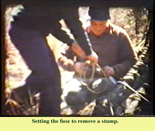Setting the Fuse