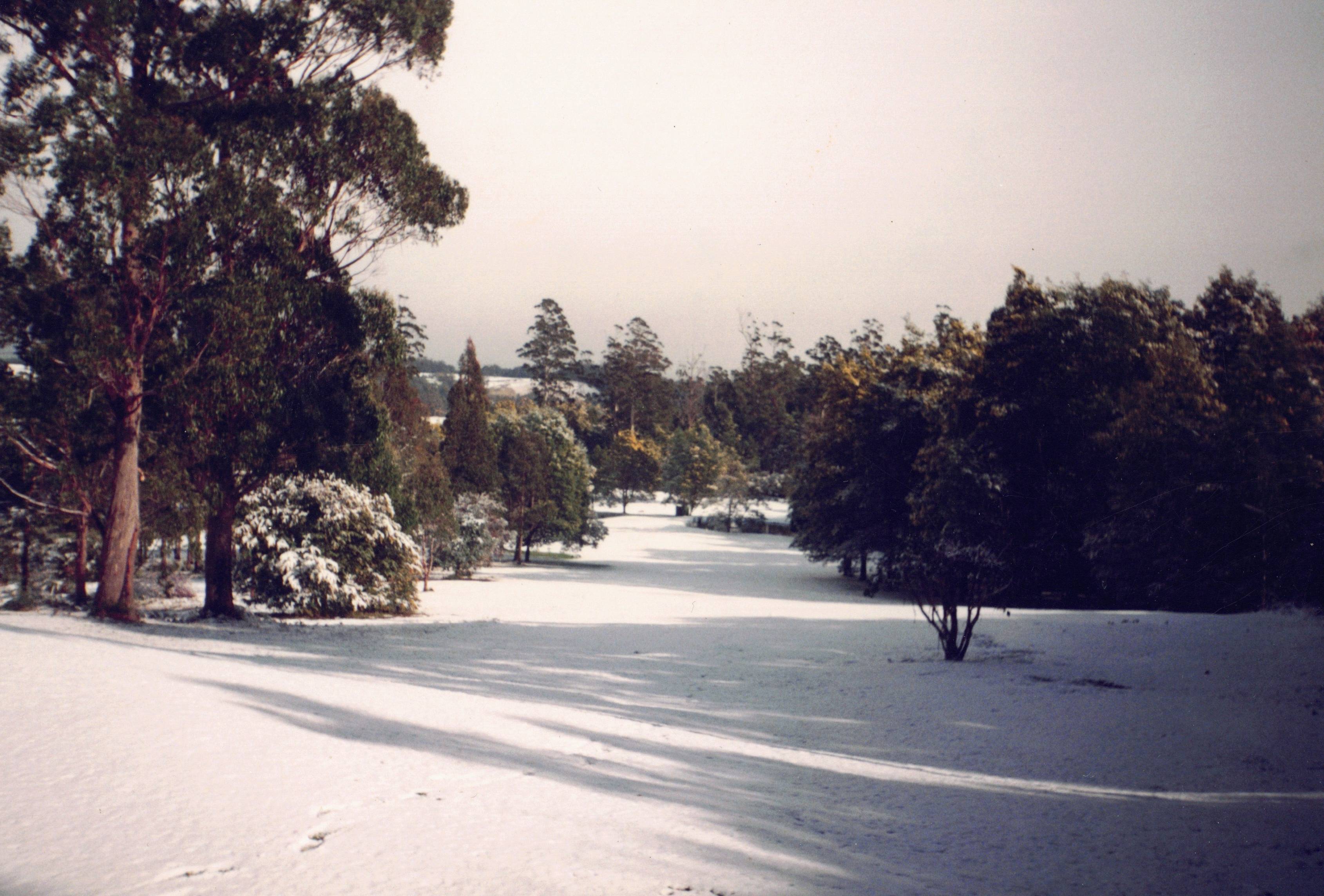 Sixth Fairway Under Snow Sixth Fairway